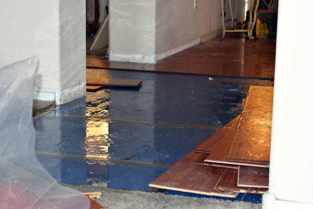 Professional Burst Pipe Cleanup technician working in Kingston, MO